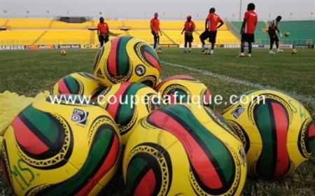 les lions de la t�ranga