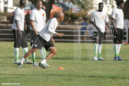 les lions du s�n�gal