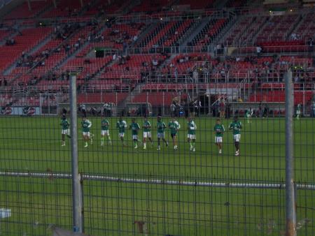 les verts